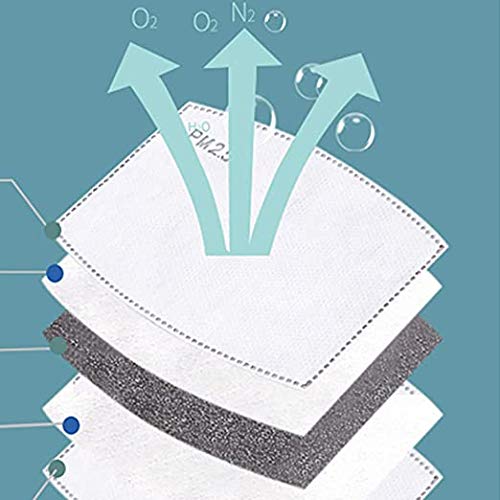 10 Pcs Adults Size PM 2.5 Filters Activated Carbon Filter Replaceable Anti Haze Filter Paper for Children and Adults【5 Layers】-【USA in Stock】 (10 Pcs Adults Filter)