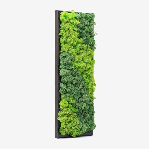 Real Moss Wall Art - Eco-Friendly Living Plant Decor