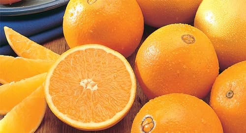 Kg. 2,5 di Arance Naveline Washington Navel di Corigliano-Rossano- Buccia edibile non trattate chimicamente