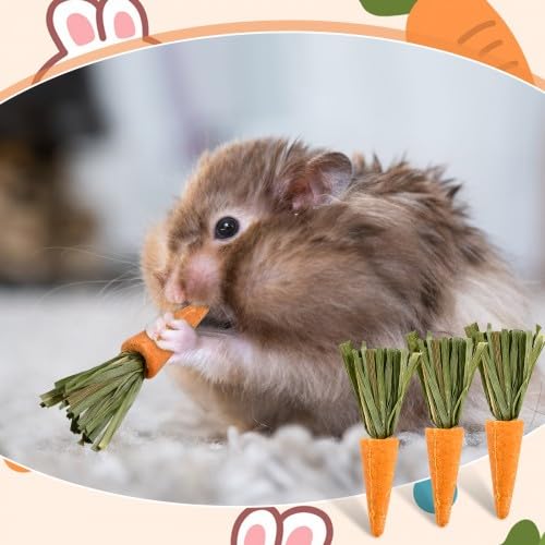 Crocchette da masticare per conigli - Biscotti all'erba alfalfa e carota per piccoli animali domestici - Snack di fieno di fleolo per conigli, porcellini d'India e criceti - Giocattoli da mas