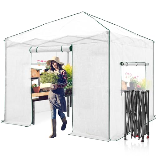 Image of EAGLE PEAK 10x10 Easy Setup Pop Up Greenhouse, Clear /White