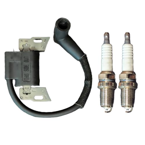 Gbeneiac 593872 Ignition Coil