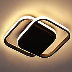Lampara Araña Negra Leroy Merlin Lianye Lámpara de Techo LED, Plafon 30W Luz para pasillo dormitorio, cocina, interior blancas cálidas 3000K, (34CM, Negro)