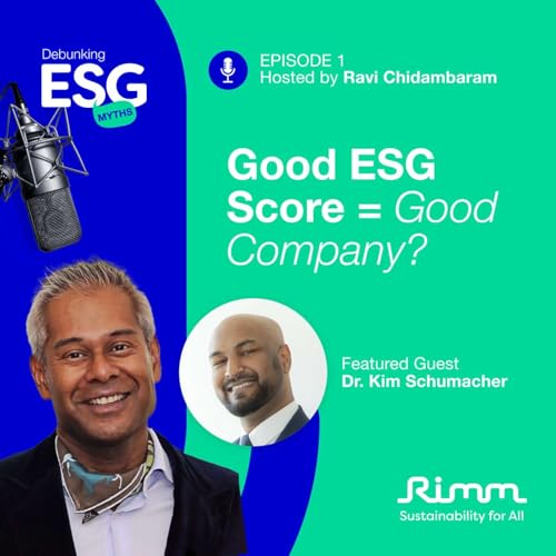Addressing Greenwashing: Does a good ESG score equate to being a good company?