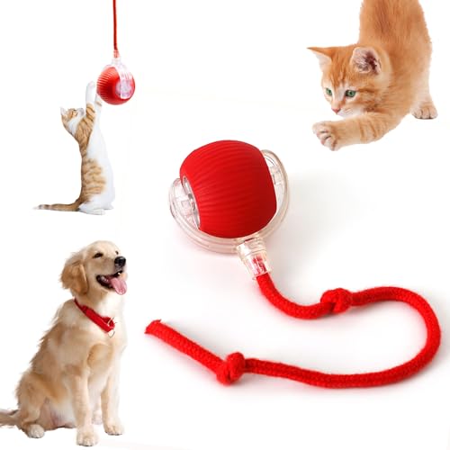 Tewloss Interactive Cat Toys for Indoor Cats, 360° Smart Automatic Kitten Toys Self Rolling Pet Ball, Moving Dog Cat Ball with Mesh Tail for Bored, USB Rechargeable (Red)