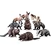Toymany 10pc Woodland Animal Figures Set - Realistic Forest Creatures for Educational Fun & Gifts - Kids, Toddlers, Birthday, Christmas