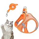 Arnés Y Correas para Perros Pequeños - Ajustable para Perros Medianos Y Pequeños con Correas,Chaleco Ajustable para Cachorros Y Gatos para Viaje En Coche Y Caminatas Nocturnas