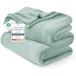 Bedsure GentleSoft Sage Green Fleece Blankets Queen Size - 280GSM Soft Lightweight Plush Cozy Blanket for Bed, Sofa, Couch, Travel, Camping