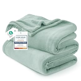 Bedsure GentleSoft Sage Green Fleece Blankets Queen Size - 280GSM Soft Lightweight Plush Cozy Blanket for Bed, Sofa, Couch, Travel, Camping