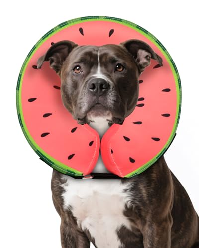 MIDOG ���p�R�[���J���[ ��^���^���p �\�t�g �C���t���[�^�u�� �h�b�O�R�[�� ��p��̑�֕i ���߉\�ȕی샊�J�o���[�R�[�� - ���E�J���[ ���͂��u���b�N���Ȃ� (�X�C�J,L)