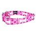 Country Brook Petz - Pink Oh My Dog Martingale Dog Collar - Dog's Life Collection Featuring Playful Designs (1/2 Inch, Extra Small)