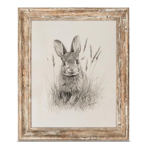 ASTRDECOR Farmhouse Framed Wall Art 8x10 – Vintage Bunny Sketch