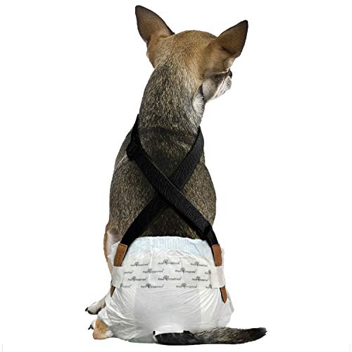 Image of Paw Inspired Dog Diaper Suspenders, Hook & Loop Fasteners, XS /Small, Black | Stretchy Adjustable Straps, Velcro Closures, For Female and Male Disposable and Washable Diapers