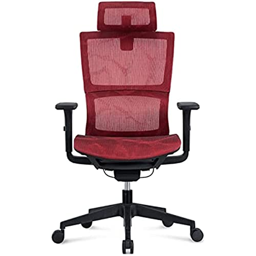 Chaise de bureau ergonomique YRYRYW idéale pour le télétravail