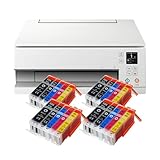 Sans cartouches de configuration, 20 cartouches d'encre IC-Office XXL