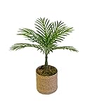 Maia Shop Palmera Artificial, Árbol Artificial (55 cm)