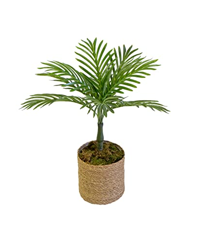 Maia Shop Palmera Artificial, Ideal para Decoración del Hogar u Oficina, Planta, Árbol Artificial (55 cm)