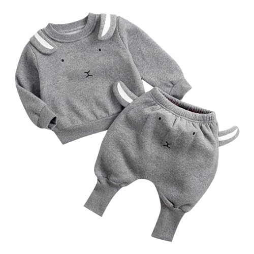 Toddler Infant Baby Boy Girl Bear Sweatshirt Pullover Tops Pants Set Sweatsuit Cute Fall Winter Outfits Clothes
