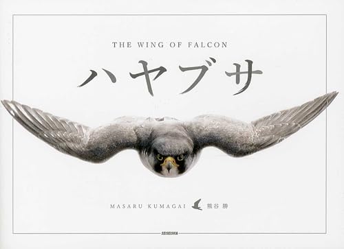 ãƒãƒ¤ãƒ–ã‚µ THE WING OF FALCON