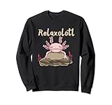 Photo Gallery divertente regalo per amanti axolotl felpa Photo Gallery divertente regalo per amanti axolotl felpa