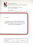  Bilanzierung und Modellierung des BTEX-Austrags aus dem Grundwasser eines Gaswerksgeländes