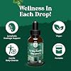 Organic Lymphatic Support Drainage Drops - Herbal Lymphatic Cleanse and Immune Support Supplement with Organic Echinacea Goldenseal & Red Clover Extract - Vegan Non GMO and Alcohol Free - 2 Fl Oz