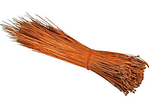 1lb Long Leaf Pine Needles for Basket Making, Crafting, Mat Weaving, Sculptural Weaving