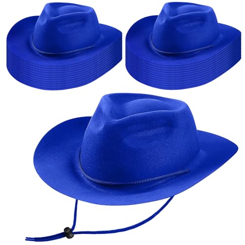 Mepase 24 Pieces Cowboy Hats Bulk Felt Western Party Hat Men Women Blue