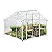 Gegaden Gewächshaus Aluminium für den Garten |Mit 8 cm dickeres Fundament| 242*250*195 cm | Vielseitig nutzbar als Treibhaus Gartenhaus winterfest Aufzucht Tomatenhaus Frühbeet und Pflanzenhaus silber