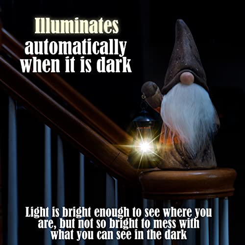 Garden Gnome Decorations With Solar Lights, Funny Resin Gnome Garden Figurines-Outdoor Lawn Decor Flocked For Patio, Balcony, Yard, Ornament Unique Christmas Housewarming Gift, 13 Inch (Brown) #TOP6