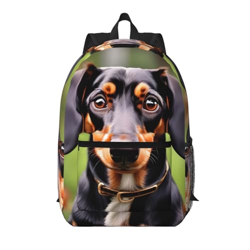 Mochila universitaria EdWal Dachshund para campus y paseos urbanos cotidianos
