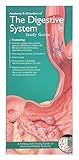 Anatomical Chart Company's Illustrated Pocket Anatomy: Anatomy and Disorders of The Digestive System Study Guide
