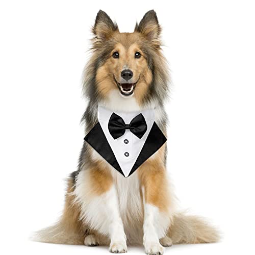 Honprad Large Breed Dog Collars For Females Adjustable Neck Tie Dog Collar With Black Necktie Wedding Formal Dog Collars For Small Medium Large Dogs Comfort Collar #TOP2