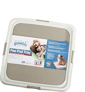PAWISE Pee Pad Holder - Puppy Training Pads - Best Portable Potty Trainer - Indoor Dog Potty - Puppy Essentials - Dog Training Holder - Puppy Pad Holder (23.5"x23.5") (B01MDUAT4U)