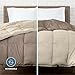 Bare Home Queen Comforter - Reversible Colors - Goose Down Alternative - Ultra-Soft - Premium 1800 Series - All Season Warmth - Bedding Comforter (Queen, Taupe/Sand)