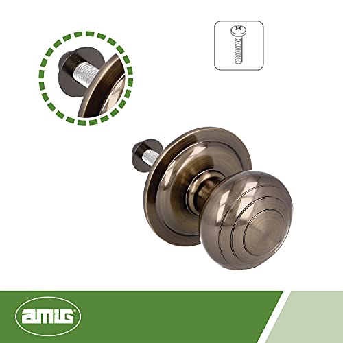 Amig - Image 2