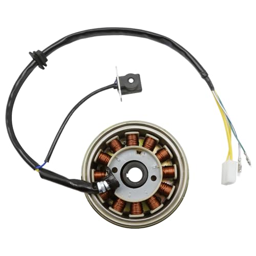 Newnessai 12 Coil Ignition Magneto Stator Flywheel Rotor Kit, 5 Wire Copper DC Stators Replacement for GY6 50cc 125cc 150cc 4 Stroke ATV Quad Go Kart Scooter by Newnessai - Used condition - CA$45.91
