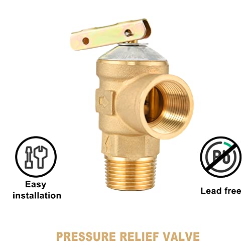 3/4 in IPS Tankless Water Heater Service Valve Kit with Relief Valve