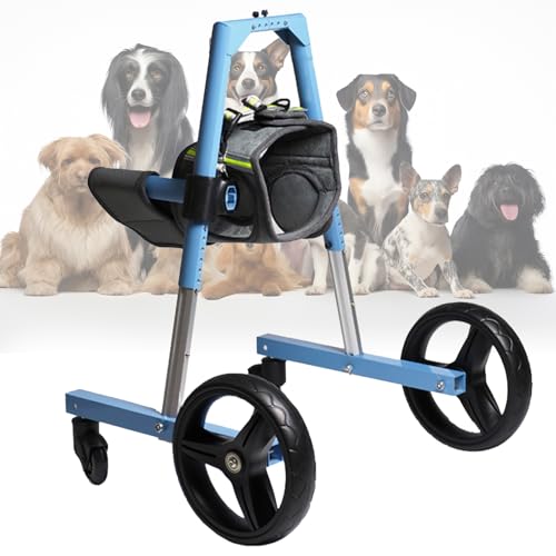 Silla de ruedas para perros de 4 ruedas: devuélvele la alegría de pasear 2