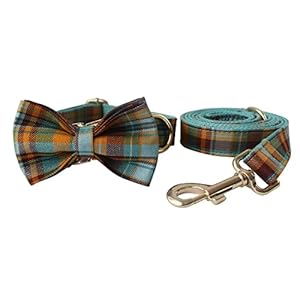 Custom Dog Collar with Names and Phone Number Engraved Puppy Tags Personalized for Small Medium Large Pets  Cucciolini Doodles Custom dog collar with names and phone number engraved puppy tags personalized for small medium large pets   cucciolini doodles