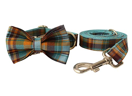 Custom Dog Collar with Names and Phone Number Engraved Puppy Tags Personalized for Small Medium Large Pets  Cucciolini Doodles Custom dog collar with names and phone number engraved puppy tags personalized for small medium large pets   cucciolini doodles