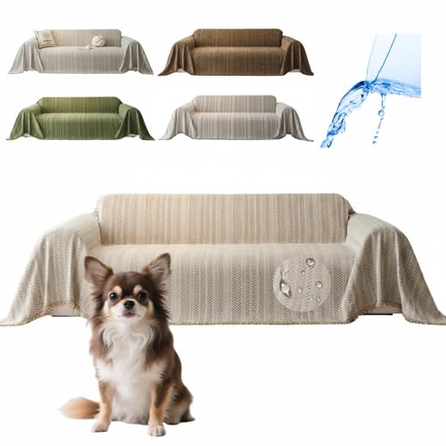 Lifetips `iChihuahuaj \t@[Jo[ k  􂦂 h }`Jo[ 2l| 3l| It IȂ ~ Eh~ LΉ lGʗp ix[Wj i230180CMj