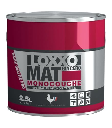 LOXXO - Loxxo Peinture Glycéro - Spécial Plafonds tachés - Monocouche - Blanc Mat - Conditionnement 2,5L, Couleur BLANC