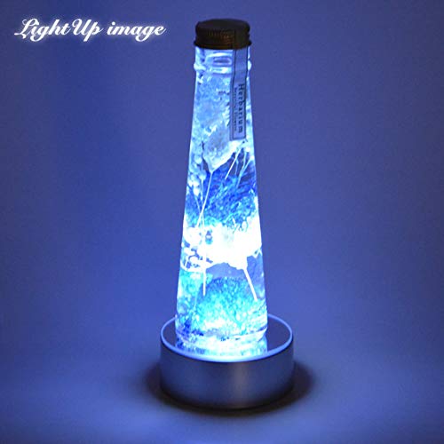 海花セール ★琉球*ルミカモス★  ハーバリウム 蓄光 フィンランドモス 琉球 プリザモス マリンハーバリウム セット フィンランドモス 海花