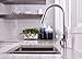hansgrohe Focus Stainless Steel High Arc Kitchen Faucet, Kitchen Faucets with Pull Down Sprayer, Faucet for Kitchen Sink, Magnetic Docking Spray Head, Stainless Steel Optic 04505800, 1.75