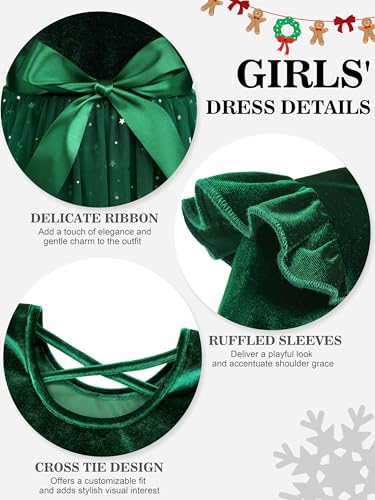 Toddler Girls Velvet Tutu Dress Fall Winter Long Sleeve Ruffle Dress for Holiday Party Causal 3-7Y2