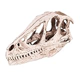 Watris Veiyi Resin Dinosaur Skull for Home Office Aquarium Decor, Dinosaur Head Skeleton Decoration, Craft Animal Skull Model, Lifelike Teaching Skeleton Model, Imitation Dragon Skull Statues