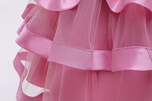 Little Girl Pink Dress Special Occasion Wedding Pageant Party Vintage Pink Lace Ruffle Tulle Dresses Size 4-5 Years, 4-5T #TOP4