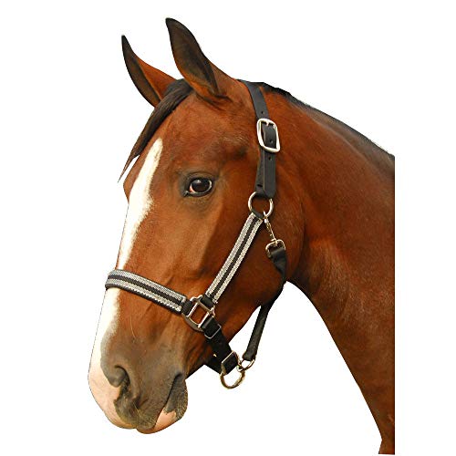 Intrepid International Breakaway Leather Crown Padded Halter, Navy/Silver, Full