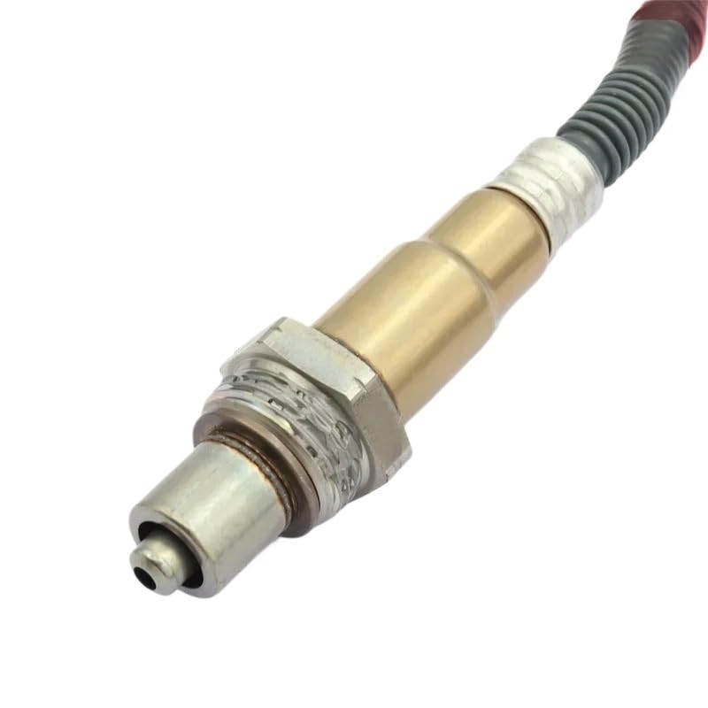 化石　B-19 化石 B-19